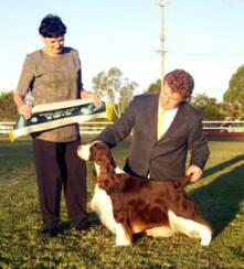 Best in Show Boonah 16th May 2003