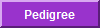 View Meme's Pedigree